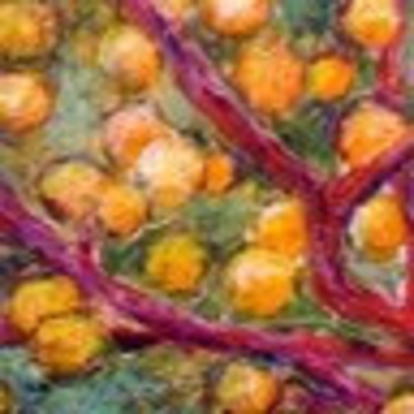 Meet your Posher, Lisa - Picture 1 of 1